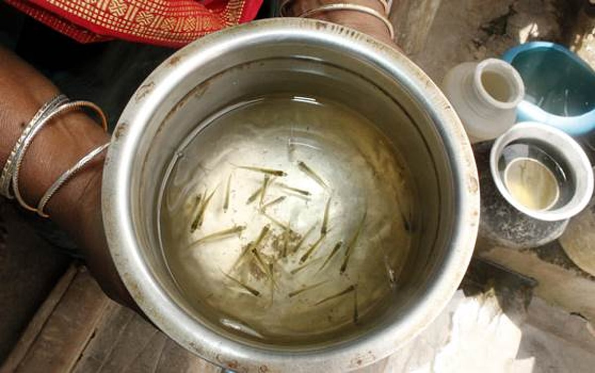 நகராட்சி குடிநீர் வினியோகத்தில் குழாயில் மீன்குஞ்சுகளுடன் வந்த தண்ணீர்